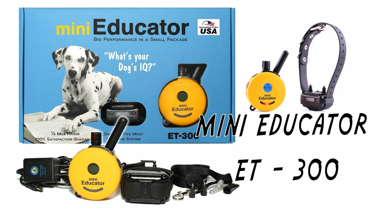 et 300 educator