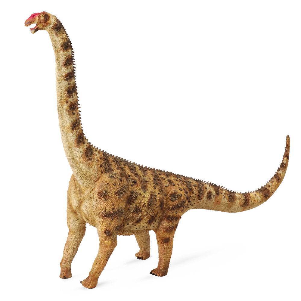 Collecta アルゼンチノサウルス i8my1cf CollectA Argentinosaurus Dinosaur Toy Figurine Prehistoric