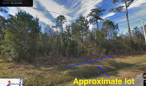 Land For Sale Mississippi Bid For Down payment & $29 a Month 0%