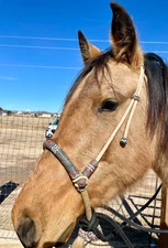 Horse Bosal 40 Plait, Natural & Black Rawhide Bosal, 12-inch High Quality Bosal