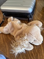 Ty Beanie Baby Spunky the Dog DOB January 14, 1997 MWMT Free Shipping