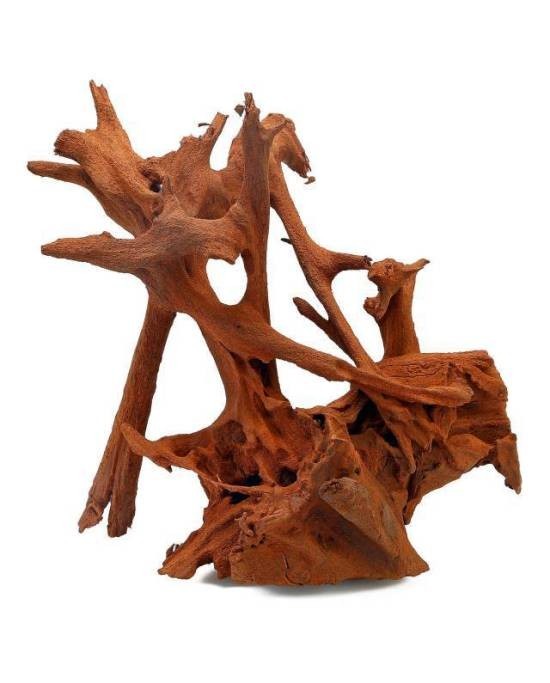Racine mangrove Aquavie 80-120 cm pour décor d'aquarium et terrarium géant