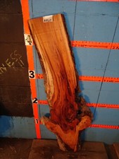A1867 1 11/16" THICK cherry burl live edge slab kiln dried planed