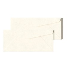 New White Parchment 10 Business Envelopes, 4 1/8 x 9 1/2", 24w 90gsm , 100 Qty