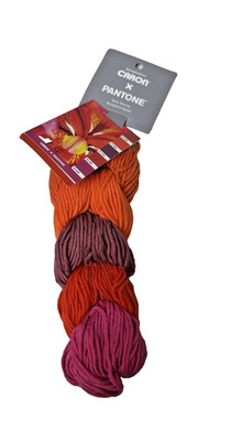 Caron x Pantone Spicy Blooms Bulky Yarn  Color: SPICY BLOOMS - great colors!