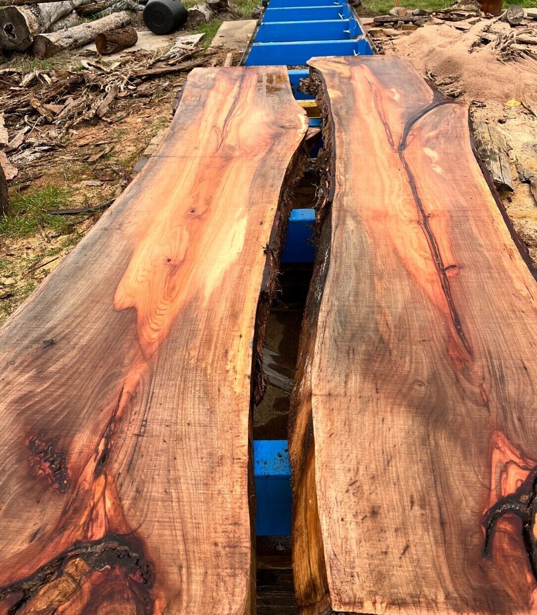 Pecan Live Edge Slabs / Kiln Dried, Flattened, Planed / Various Sizes