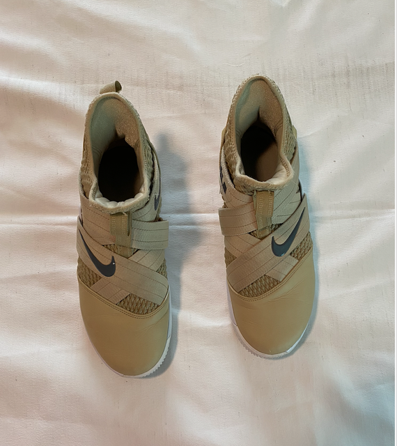 lebron soldier 12 size 9.5