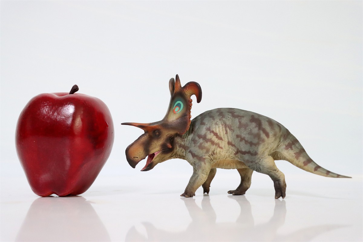 PNSO 86 Lokiceratops Frederik Ceratopsidae Dinosaur Prehistoric