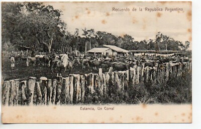 ARGENTINIEN - Argentina - Alte Postkarte - ESTANCIA - un Corral bétail