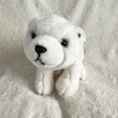 CS International Polar Bear Plush 12  Soft Realistic White Plush Stuffed Animal