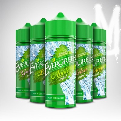 Evergreen 8ml Aroma - alle Sorten - Apple, Melon, Grape, Lime, Mango by SIQUE B.