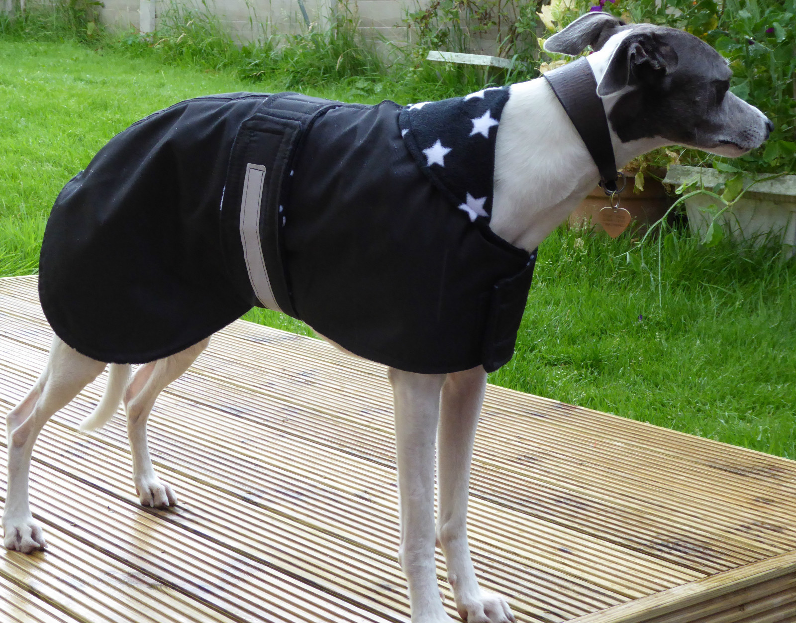 Dog Coat, Waterproof, Dog Jacket, Rug 21" to 26" made to measure. eBay