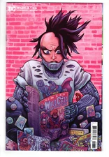 WILDCATS #6 (2023) - GRADE NM - DC 1:25 RETAILER INCENTIVE DAN HIPP VARIANT