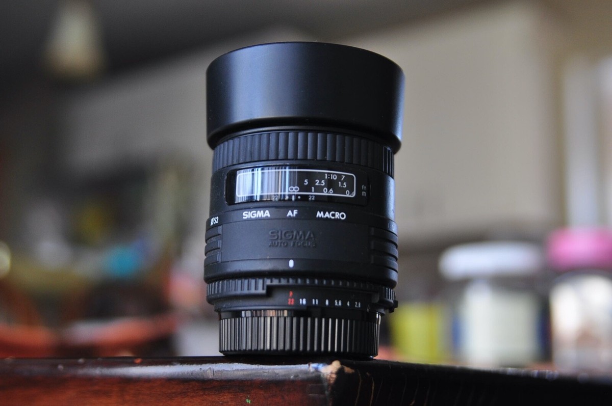 NIKON D70 + SIGMA 50mm 1:2.8 DG MACRO D