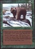 1x Grizzly Bears Light Play, English Collectors' Edition - International MTG Mag
