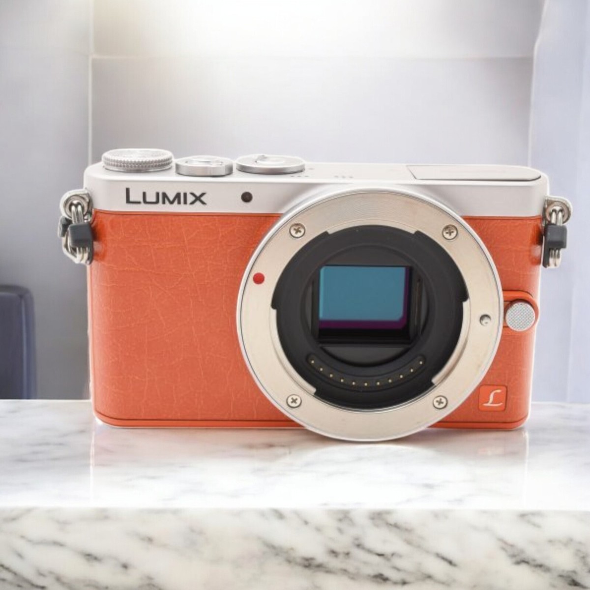 Near Mint] Panasonic LUMIX DMC-GM1 Mirrorless Digital Camera with