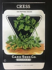 1920s Litho Antique Vintage Card Seed Co. Packet Pack Cress Or Pepper Grass Mint