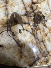 VINTAGE 1960's MARX JOHNNY WEST 2 Saddles Nice Shape