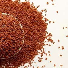 Halim Seeds 400gm for Eating Raw and Natural Garden Cress