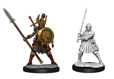 D&D Frameworks: Human Fighter Female NIB