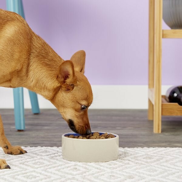 Ethical 5.25-Inch Diameter Stoneware Crock Dog Water Food Bowl Puppy Cat Dish
