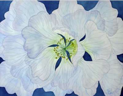 PAINTING WATERCOLOR 11X14 & DOUBLE MAT 16X20 FLOWER ANEMONE BLUE LAVENDER PURPLE