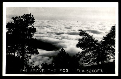 Postcard RPPC Above the Fog Elevation 5200 Feet