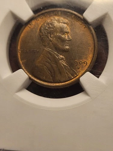 1909 S VDB Lincoln Wheat Cent, NGC MS 64 BN, CAC, key date     inv10    g70l