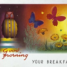 Vintage 1969 Holland America Line Menu SS Rotterdam Owl Butterfly Cruise Ship