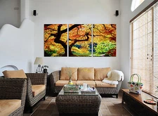 Fall/Janese Maple Tree mounted picture/on fiberboard canvas/betterThan stretched