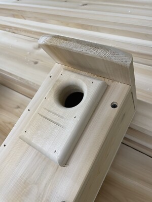 White cedar Bluebird nesting box