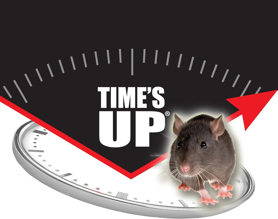 Vertical Spring Mouse Trap (Pack of 8) | eBay Australia