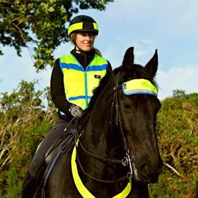 Equisafety Multi Colour Hi Vis Weste Grün/Gelb