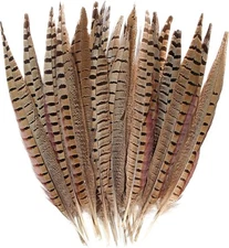RINGNECK PHEASANT TAIL FEATHERS - 2 pc. Pair - Fly Tying Materials - 10-12 inch