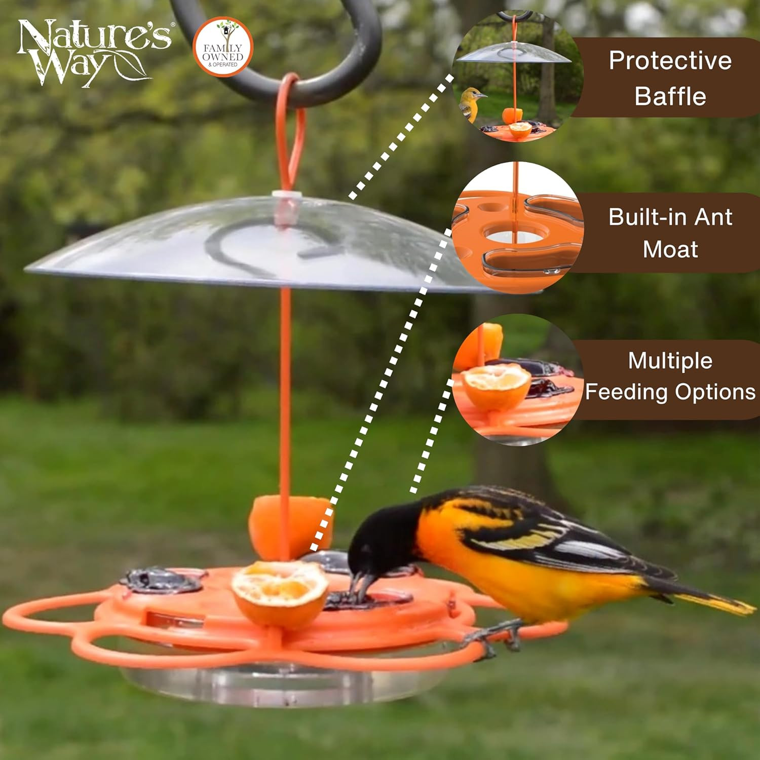 OFP1 All-In-One Oriole Buffet Bird Feeder, Orange