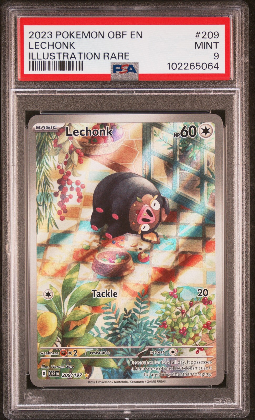 Lechonk #209