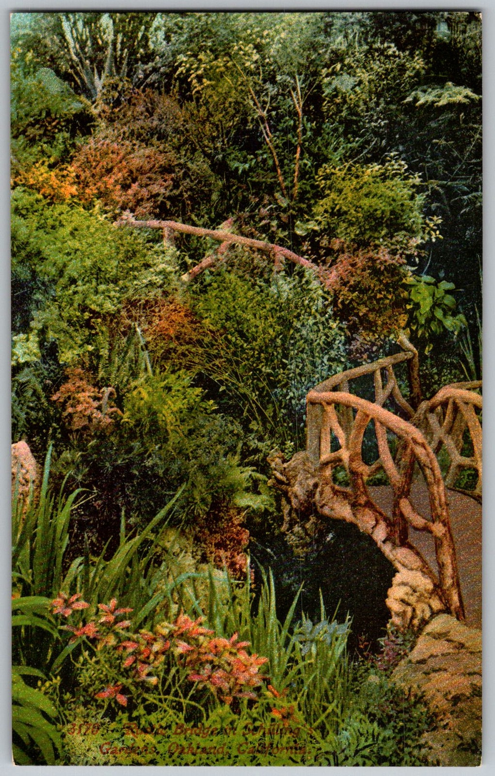 Antique Postcard Rustic Log Bridge Garden San Francisco, CA 1910s