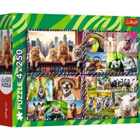 5900511133134 Puzzle 4X250 ElementóW. Zabawne Zwierzaki Trefl