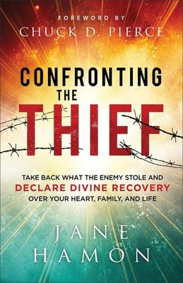 Confronting the Thief: Take Back What the Enemy Stole and Declare Divine Recover