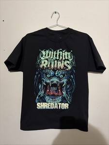 Within the Ruins | eBay