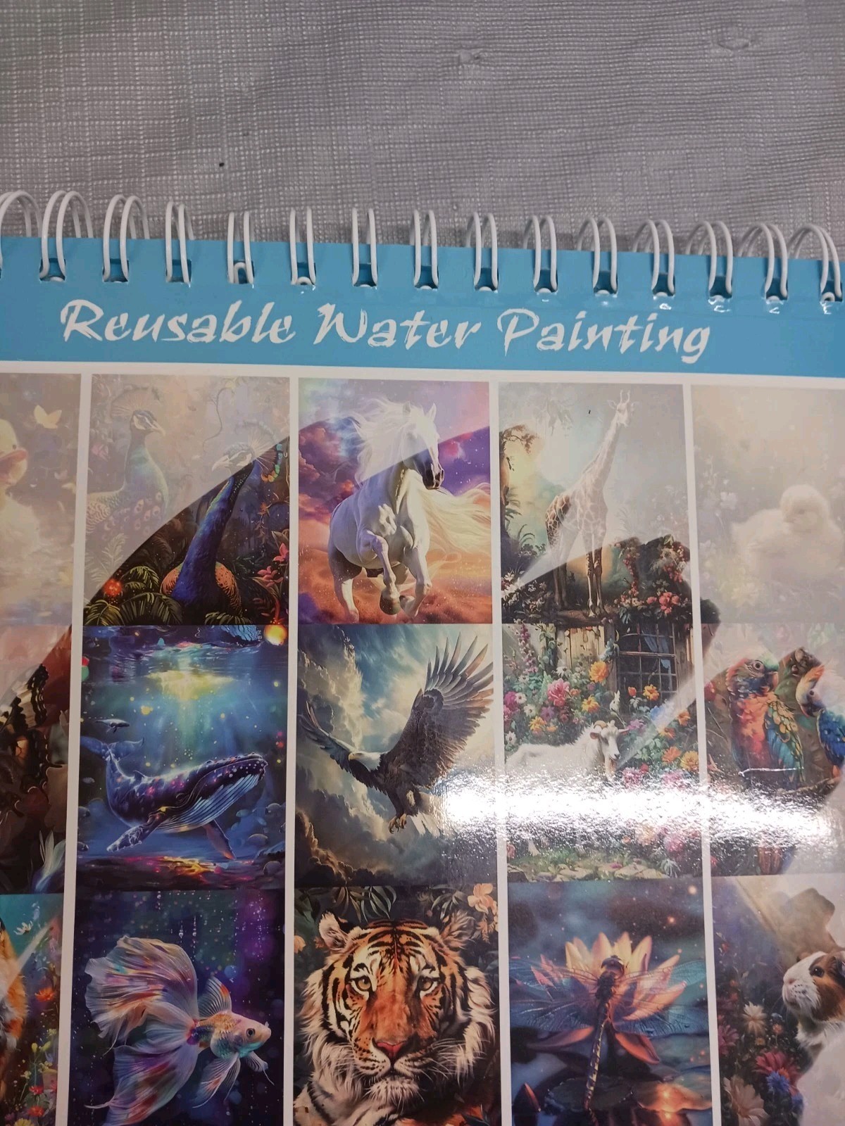 Dementia activities senior adult no mess water paint set 11" X 9". With Brushes