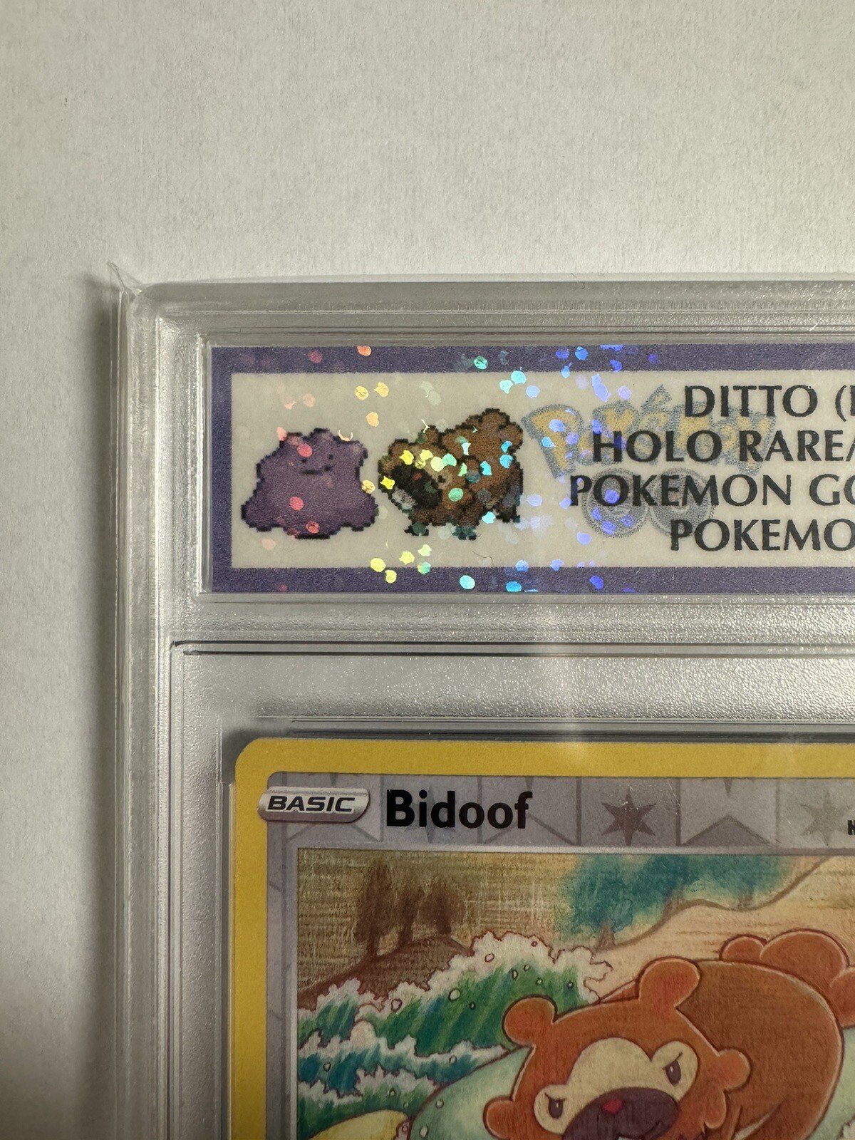 Reverse Holo Bidoof Peelable Ditto W/ CUSTOM SLAB!! 059/078 eBay