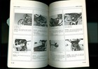 Foto 10 di 22