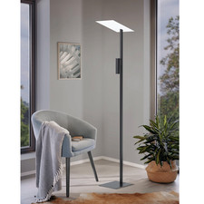 EGLO BUDENSEA Stehleuchte LED Stehlampe Schwarz mit Leseleuchte Aluguss indirekt