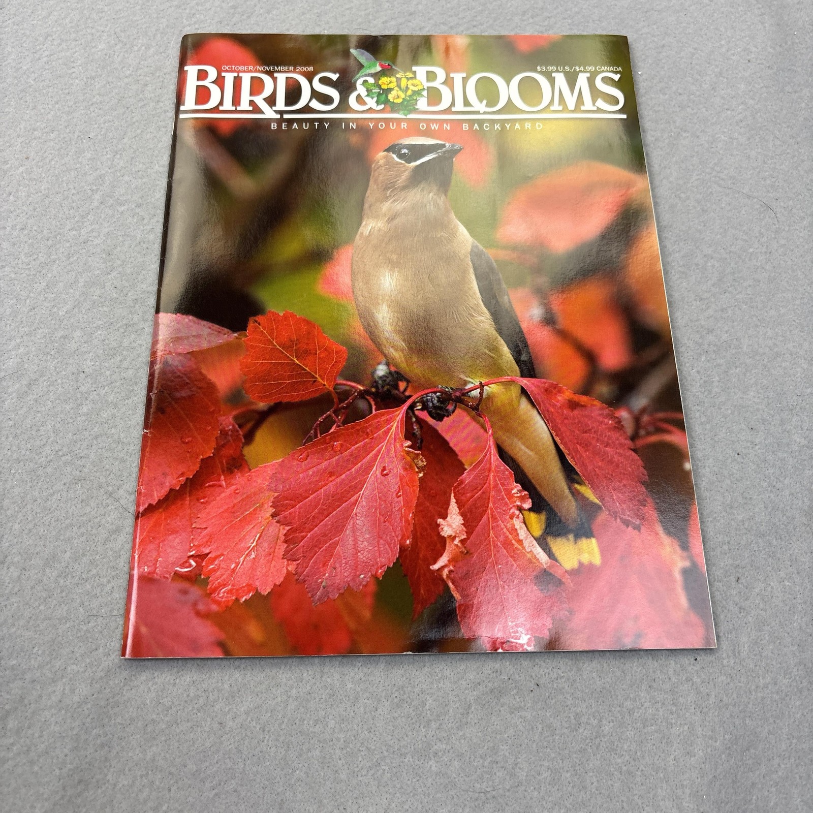 Birds & Blooms Magazine Oct/Nov 2008 Illustrated Autumn Red Cover USA Softcover