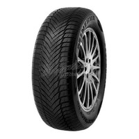 Winterreifen Minerva Frostrack HP 3PMSF 205/55 R16 91V Id11284