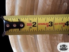 1/4 Inch Upholstery Foam Padding Sold by Continuous Yard