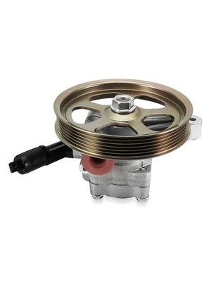 TAUTOY 21-5442 Power Steering Pump with Pulley For Honda Odyssey 2005-2010,Pilot
