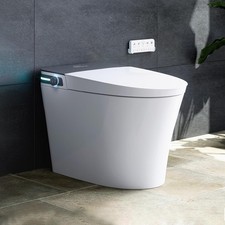 HOROW Smart Bidet Toilet 10" Rough-in,with Bidet Built-in,Instant Warm Water
