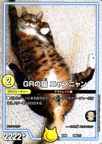 Duel Masters TCG Nyannyan, Nyanko Rage GR No-Reality DMEX08 246 Japanese NM